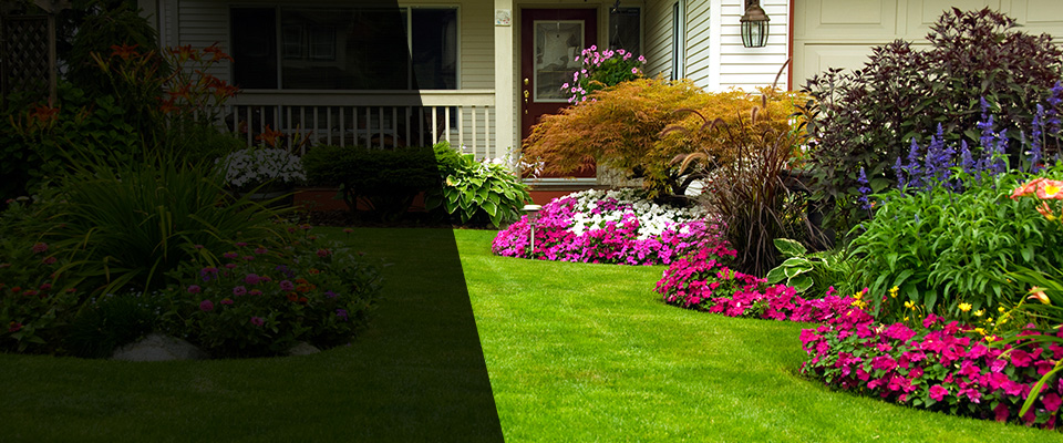 Ignacio Landscapers