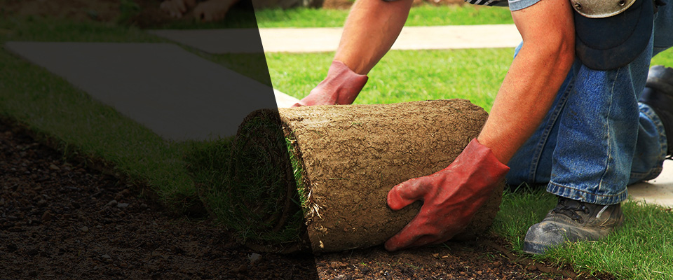 Ignacio Landscapers